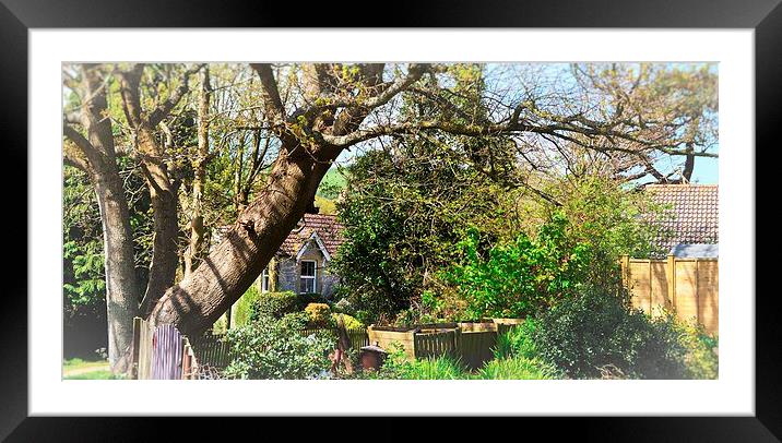the cottage at the bottom Framed Mounted Print by Rhona Ward
