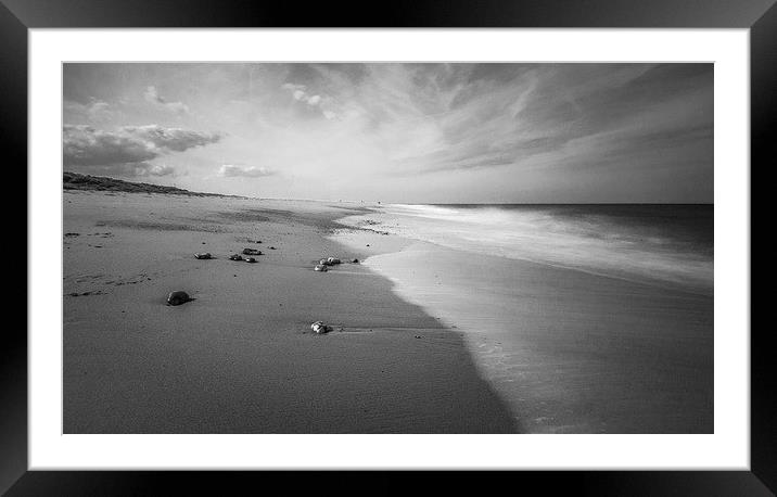 Winter at Winterton Framed Mounted Print by Chris Nowicki