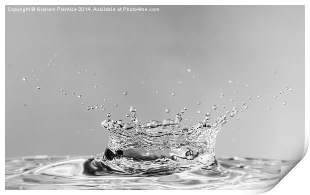 Water Crown Print by Graham Prentice