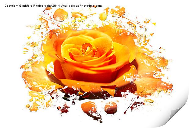 Rose, Broken Love Print by mhfore Photography