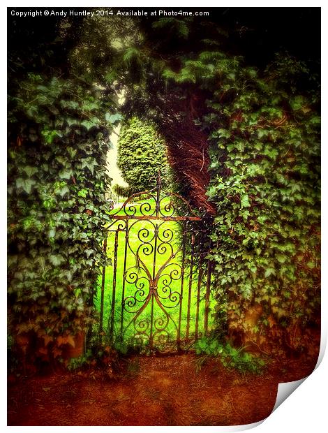Gate in Hedge Print by Andy Huntley