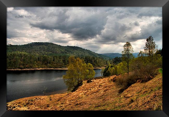 Glen Affric Framed Print by Jacqi Elmslie