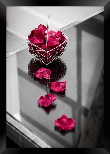 Wedding Flower Petals Framed Print by Keith Thorburn EFIAP/b