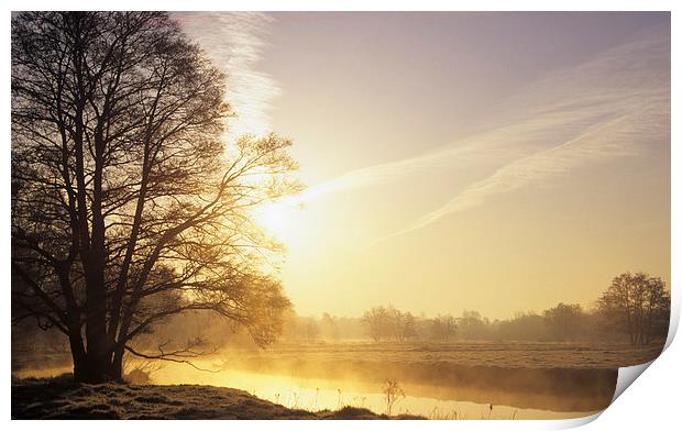 River Wey Misty Morning at Thundry Meadows Print by Pearl Bucknall