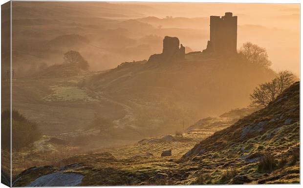 Dolwyddelan castle Canvas Print by Rory Trappe