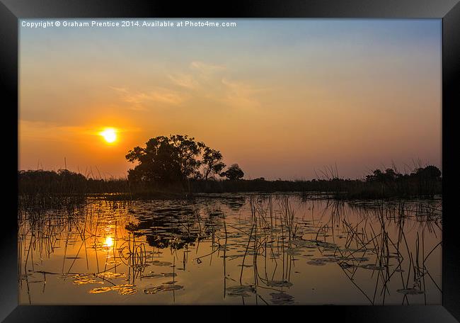 Sunset In Okavango Delta Framed Print by Graham Prentice