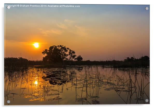 Sunset In Okavango Delta Acrylic by Graham Prentice