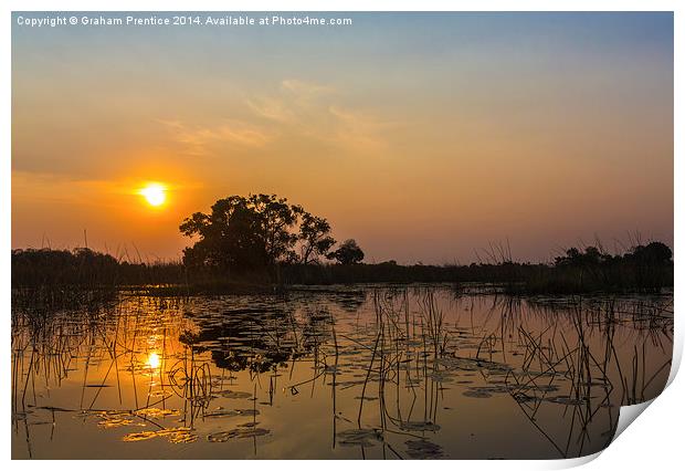 Sunset In Okavango Delta Print by Graham Prentice
