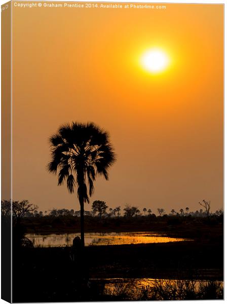 Okavango Delta Sunset Canvas Print by Graham Prentice