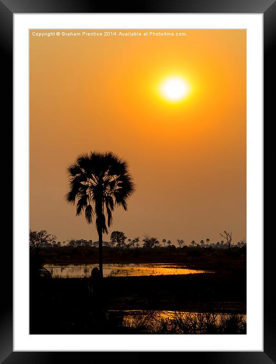 Okavango Delta Sunset Framed Mounted Print by Graham Prentice