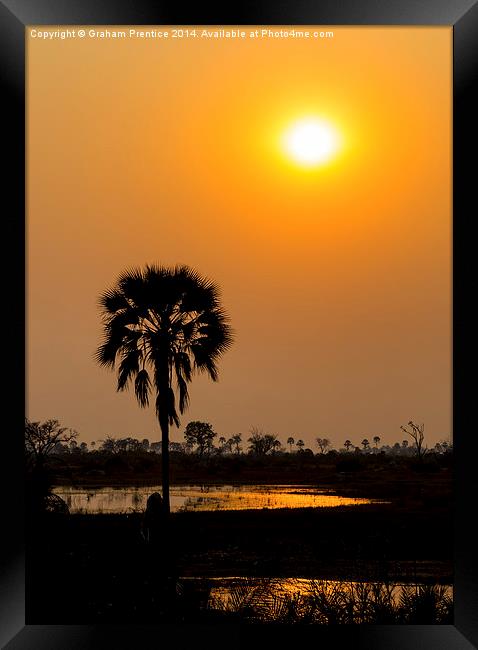Okavango Delta Sunset Framed Print by Graham Prentice