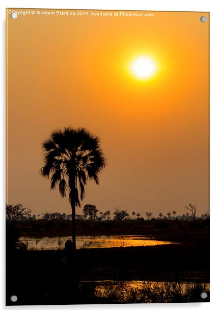 Okavango Delta Sunset Acrylic by Graham Prentice