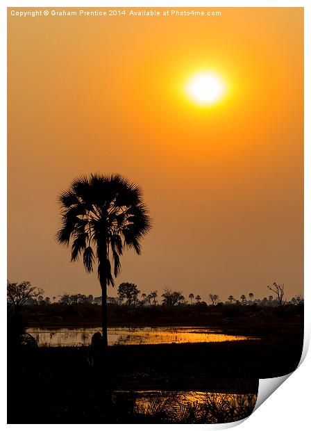 Okavango Delta Sunset Print by Graham Prentice