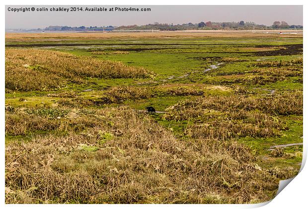 Salt Marsh at West Wittering Print by colin chalkley