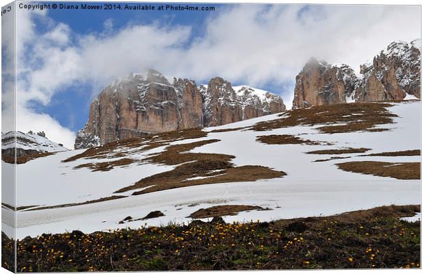 The Dolomites Canvas Print by Diana Mower