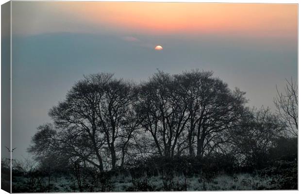 Misty Sunrise Canvas Print by Richard Cruttwell