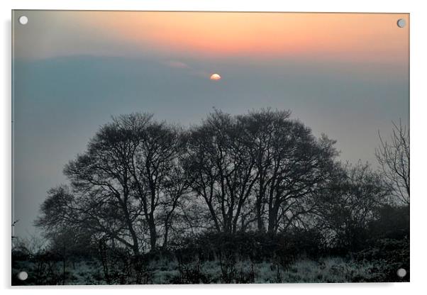 Misty Sunrise Acrylic by Richard Cruttwell