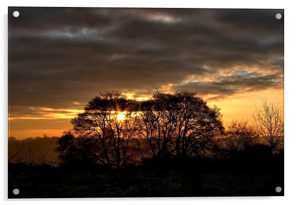 Sunrise Through Trees Acrylic by Richard Cruttwell
