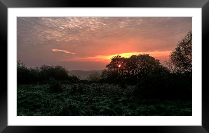 Sunrise Through Trees Framed Mounted Print by Richard Cruttwell
