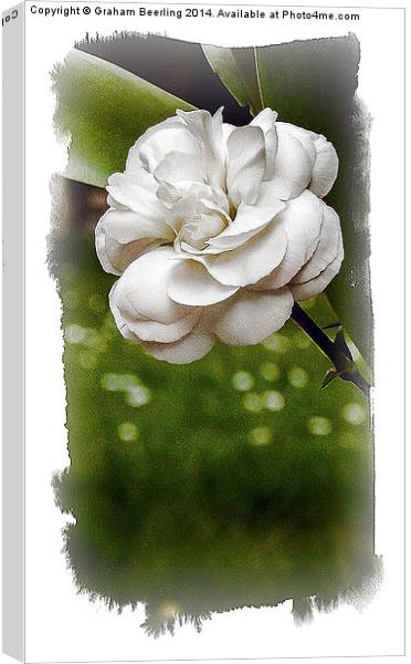 Painted Flowers Part 3 Canvas Print by Graham Beerling
