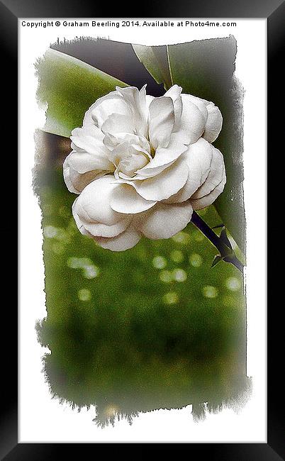Painted Flowers Part 3 Framed Print by Graham Beerling