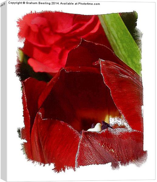 Flower Painting Part 2 Canvas Print by Graham Beerling