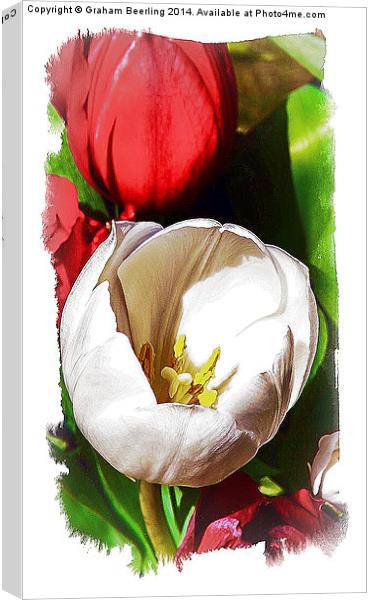 Flower Painting Part 1 Canvas Print by Graham Beerling