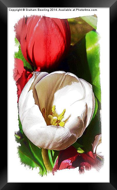 Flower Painting Part 1 Framed Print by Graham Beerling
