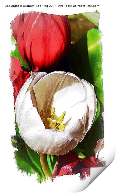 Flower Painting Part 1 Print by Graham Beerling