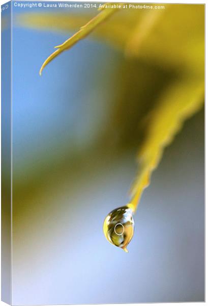 Droplet Canvas Print by Laura Witherden