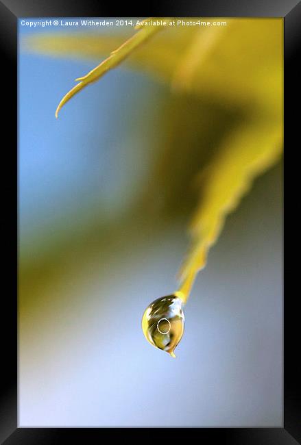 Droplet Framed Print by Laura Witherden