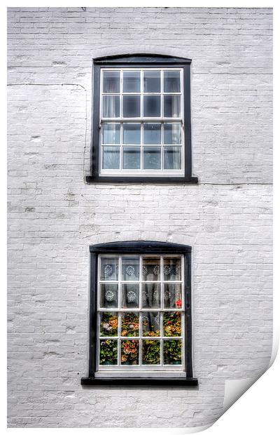 Geraniums in the Window Print by Nigel Bangert