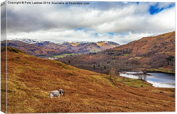 Rydal Cumbria Canvas Print by Pete Lawless