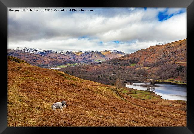 Rydal Cumbria Framed Print by Pete Lawless