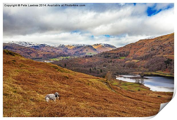 Rydal Cumbria Print by Pete Lawless