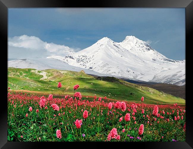 Switzerland mountains on spring time Framed Print by Daniel Kesh