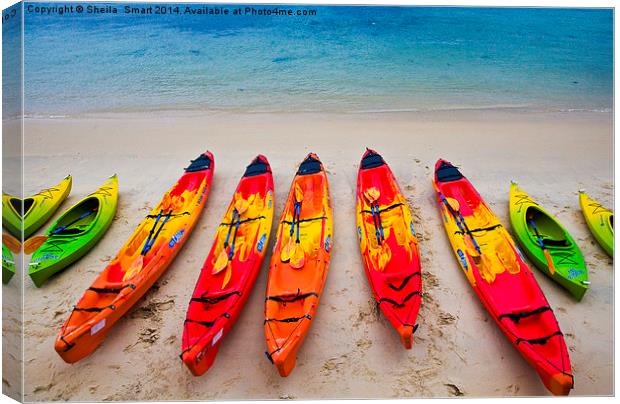 Kayaks at Manly Canvas Print by Sheila Smart