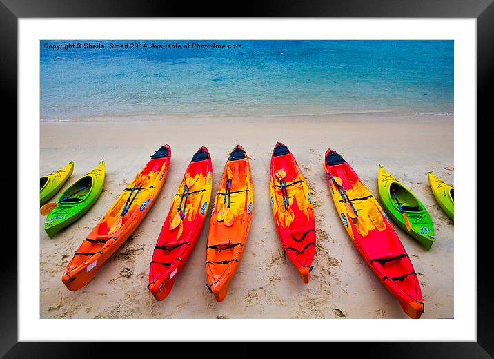 Kayaks at Manly Framed Mounted Print by Sheila Smart