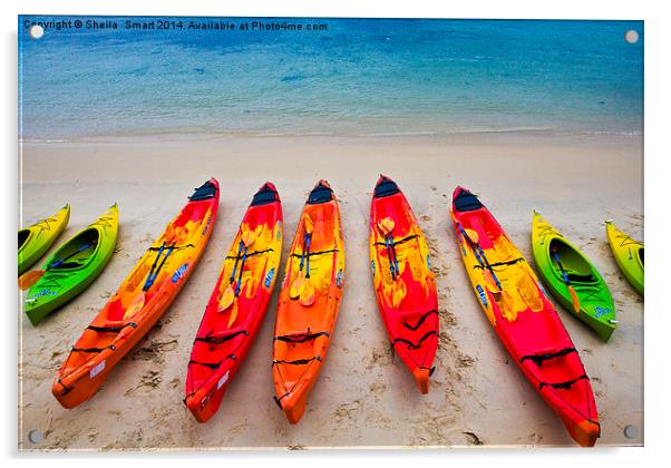 Kayaks at Manly Acrylic by Sheila Smart