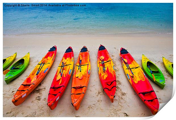 Kayaks at Manly Print by Sheila Smart