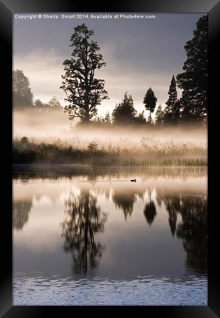 Mist over Lake Matheson Framed Print by Sheila Smart