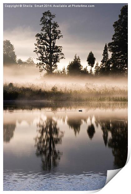 Mist over Lake Matheson Print by Sheila Smart