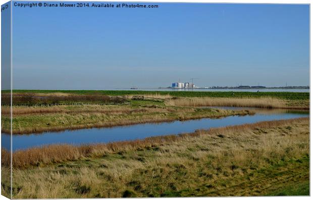Tollesbury Marshes Essex Canvas Print by Diana Mower
