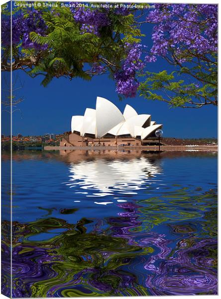Sydney Opera House with jacaranda Canvas Print by Sheila Smart