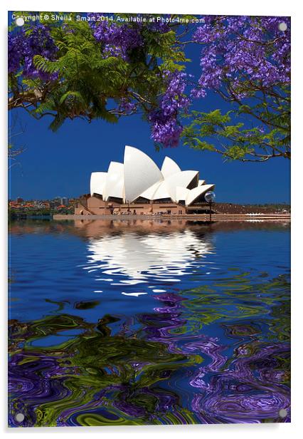 Sydney Opera House with jacaranda Acrylic by Sheila Smart