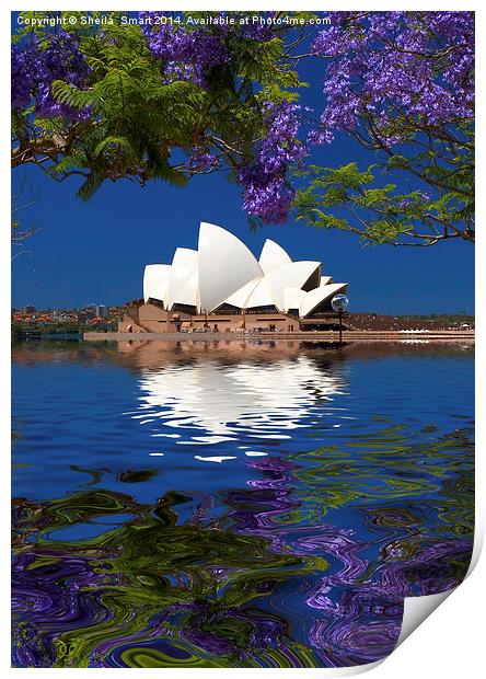Sydney Opera House with jacaranda Print by Sheila Smart