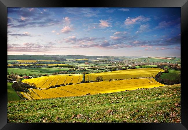 Fields of Gold Framed Print by Lady Debra Bowers L.R.P.S