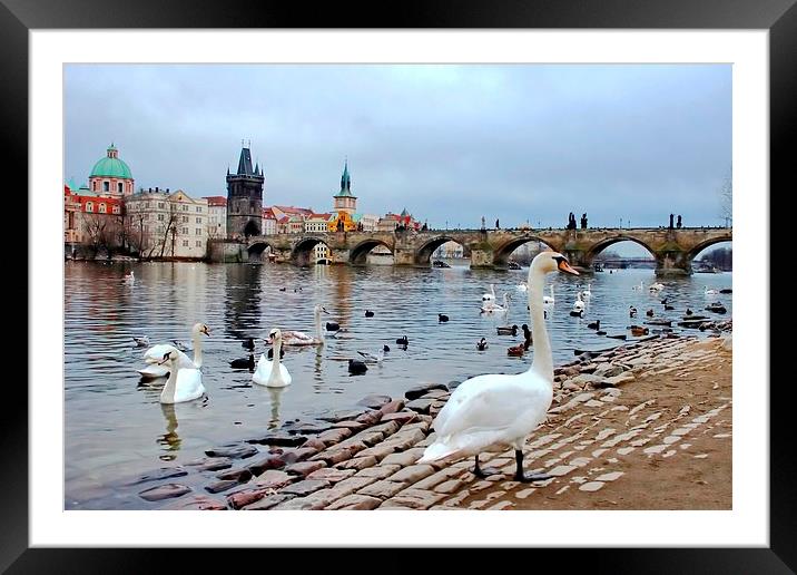 River Vltava, Prague Framed Mounted Print by Richard Cruttwell