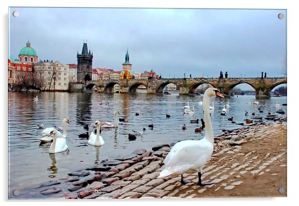 River Vltava, Prague Acrylic by Richard Cruttwell