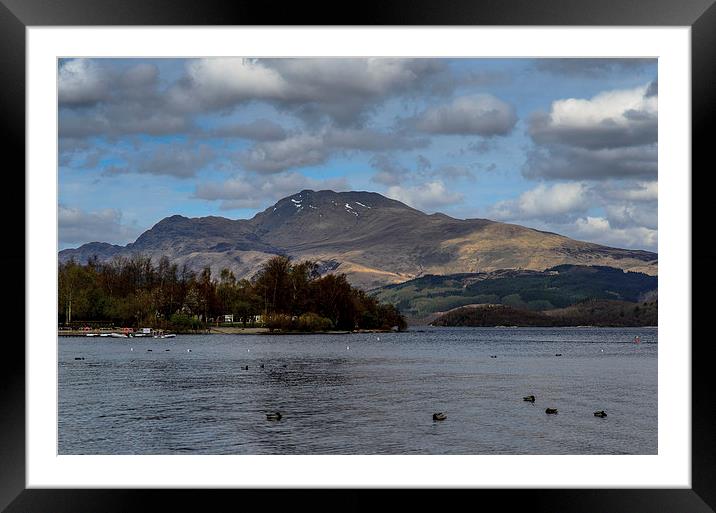 Spring on Ben Lomond Framed Mounted Print by Michael Moverley